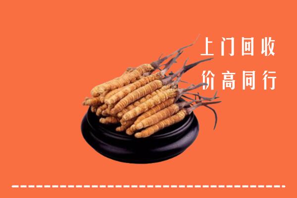 高价求购：绵竹市回收散虫草