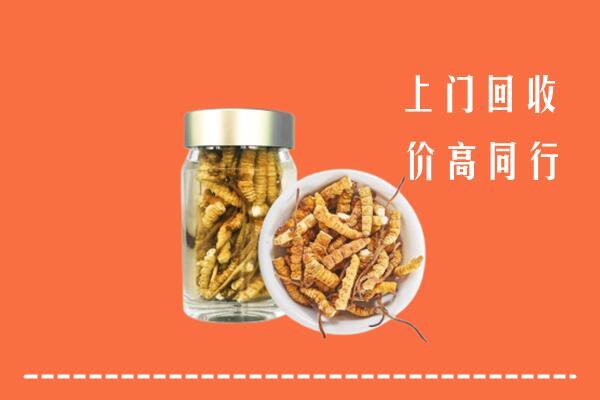 收购行情：绵竹市回收冬虫夏草
