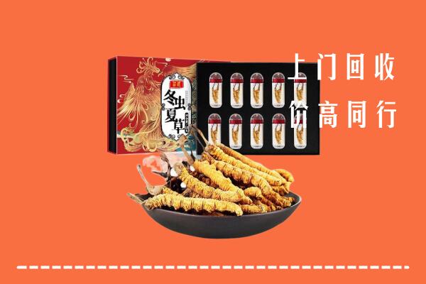 绵竹市高价回收虫草